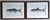 Antique Denton Fish Prints-Custom Framed-Set 2 For Sale - Image 4 of 7