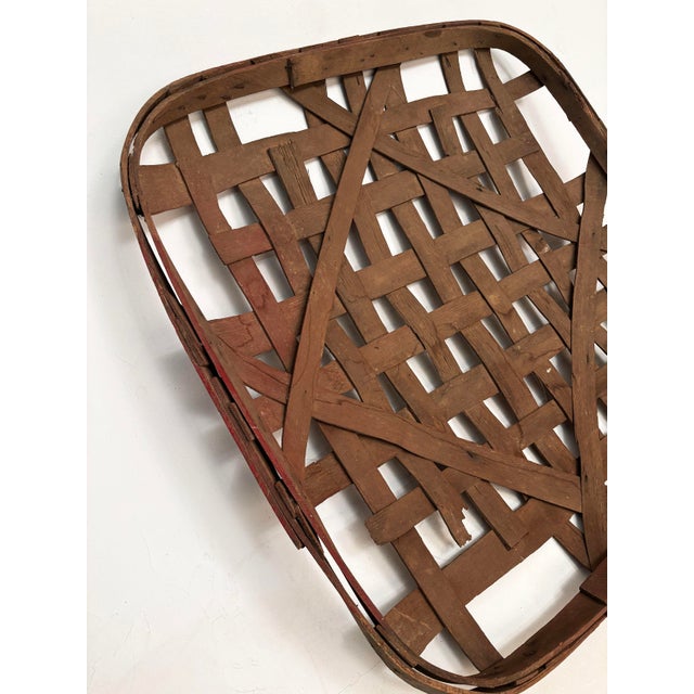 Kentucky Burley Tobacco Basket With Original Red Rim, Horse Cave, C. 1880-1910 For Sale - Image 13 of 17