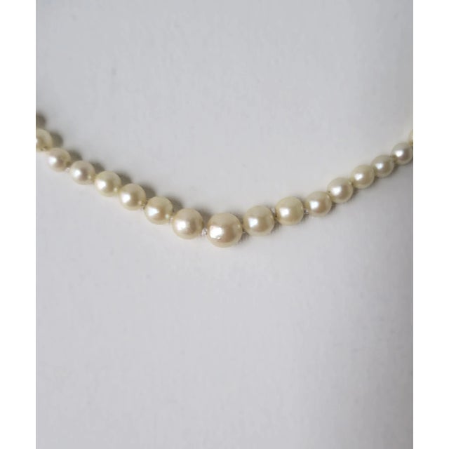 Metal Pearl Choker Necklace 14kt Gold Clasp, Circa Mid-20th Century For Sale - Image 7 of 9