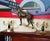 1930s Art Deco Greyhound Sculpture by Jules Edmond Masson for Max Le Verrier, 1930s For Sale - Image 5 of 18