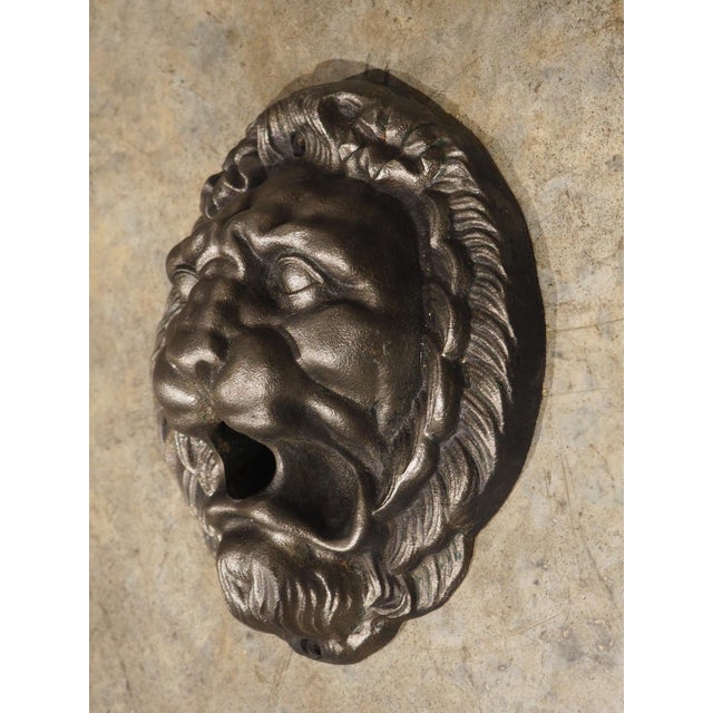Circa 1920s French Cast Iron Lion Fountain Feature, Spout For Sale - Image 9 of 13
