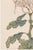 Blush Mum by Hasegawa, Vintage Japanese Botanical Art Print, 36" X 54" For Sale - Image 4 of 10