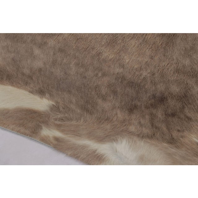 Modern Rug & Kilim’s Large Cowhide Rug in Sheen Beige and Brown Tones For Sale - Image 3 of 8