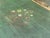 Early 19th Century 19th Century Swedish Green Painted Drop-Leaf Dining Table, 1820 For Sale - Image 5 of 15
