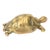 Midcentury English Brass Turtle Paperweight For Sale