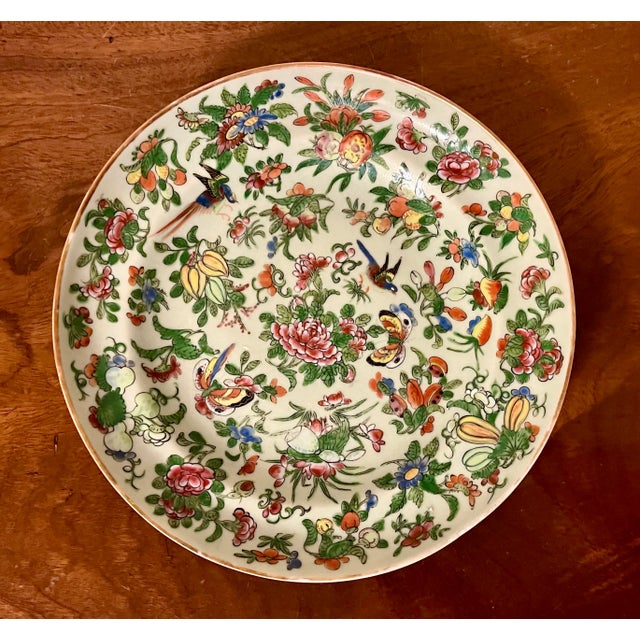 Antique 19th Century Chinese Export Porcelain Famille Rose Plate With Birds and Butterflies on a Celadon Ground For Sale In New York - Image 6 of 9