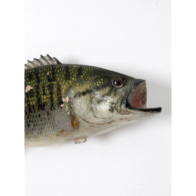 Vintage Bass Fish Wall Mount For Sale - Image 4 of 9