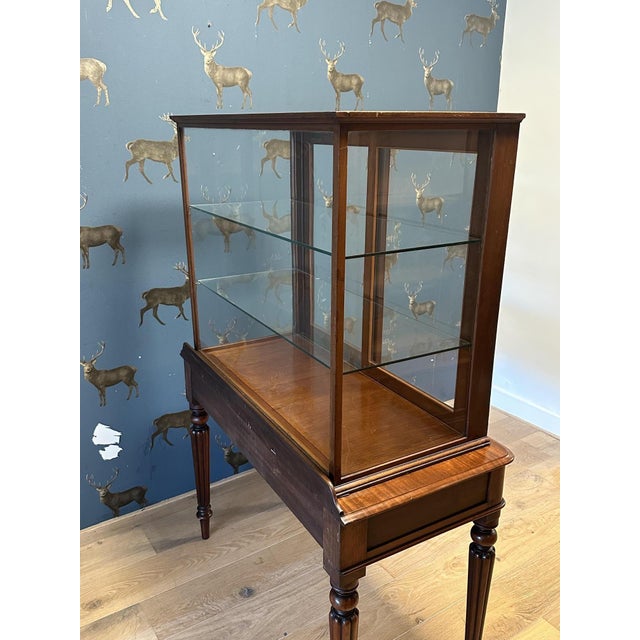 Vintage Display Cabiniet, 1890s For Sale - Image 6 of 9