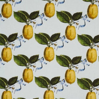 Sample - Schumacher x Johnson Hartig Le Citron Fabric in Sky For Sale