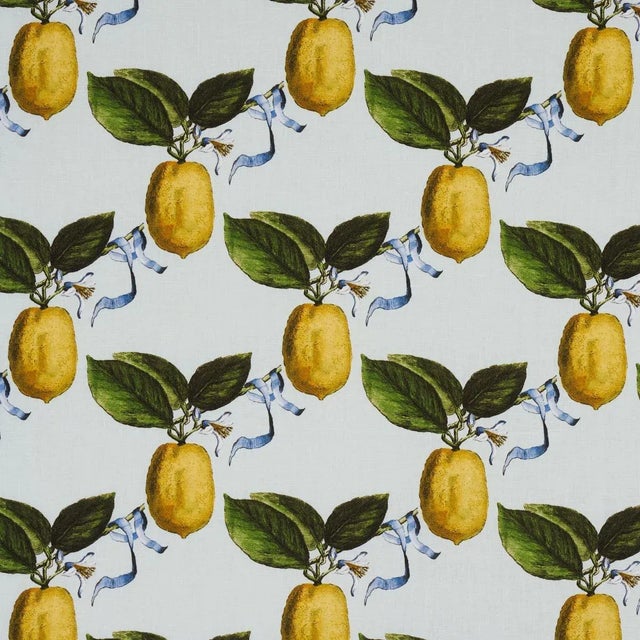 Sample - Schumacher x Johnson Hartig Le Citron Fabric in Sky For Sale