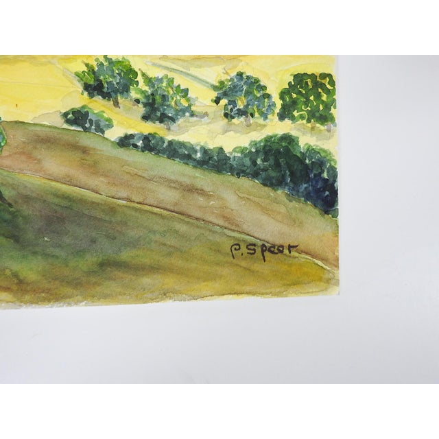Late 20th century watercolor on paper painting of yellow rolling hills and trees landscape. Signed. P. Speer lower right...