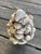 The intricate sculpting makes this vintage creamware topiary very distinct. This stately piece will be the perfect...