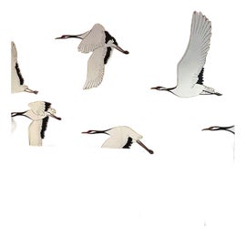 Example of Wallpaper Rolls