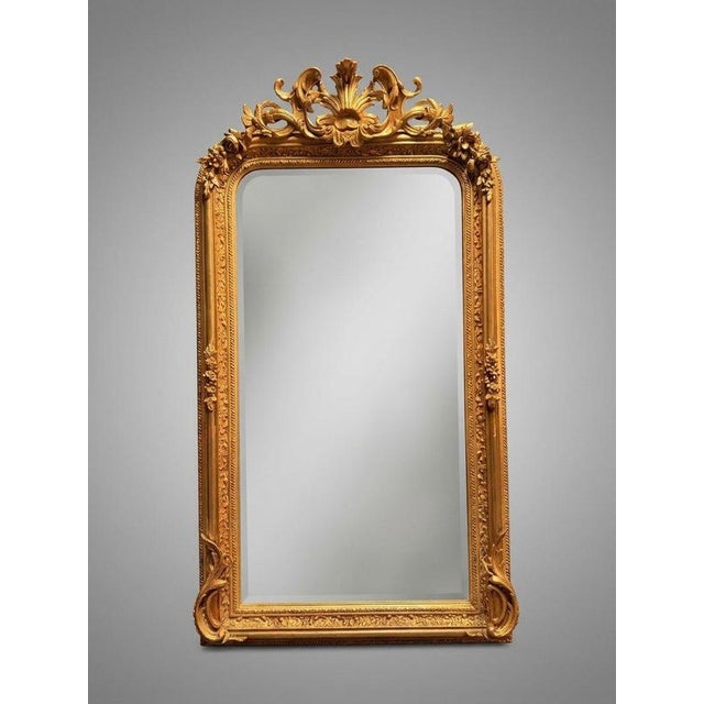 French Style Gilt Wood and Plaster Panel Mirror For Sale - Image 4 of 4