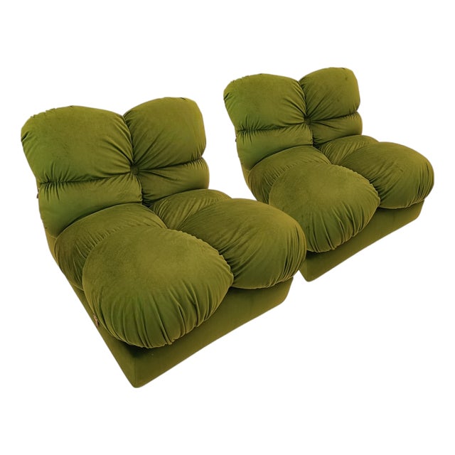 Chameleon-Style Lounge Chairs by Mario Bellini, 1970s, Set of 2 For Sale