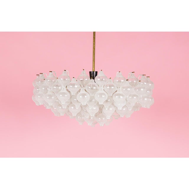 Tulipan Waterfall Glass Chandelier from Kalmar, Austria, 1960s For Sale - Image 12 of 18