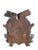Early 1900s XL Chamois Goat Trophy Black Forest Horns Rd150 For Sale In Aspen - Image 6 of 6
