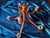 Wood Teak Variable Height Chandelier with Five Arms from Domus, Denmark, 1970s For Sale - Image 7 of 9