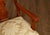 Italian Baroque Style Set of Eight Inlaid Olive Wood Dining Chairs For Sale - Image 9 of 18