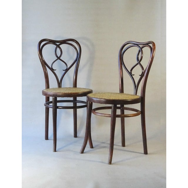1920s No. 561 Chairs by Michael Thonet for Gebrüder Thonet, 1925, Set of 2 For Sale - Image 5 of 13