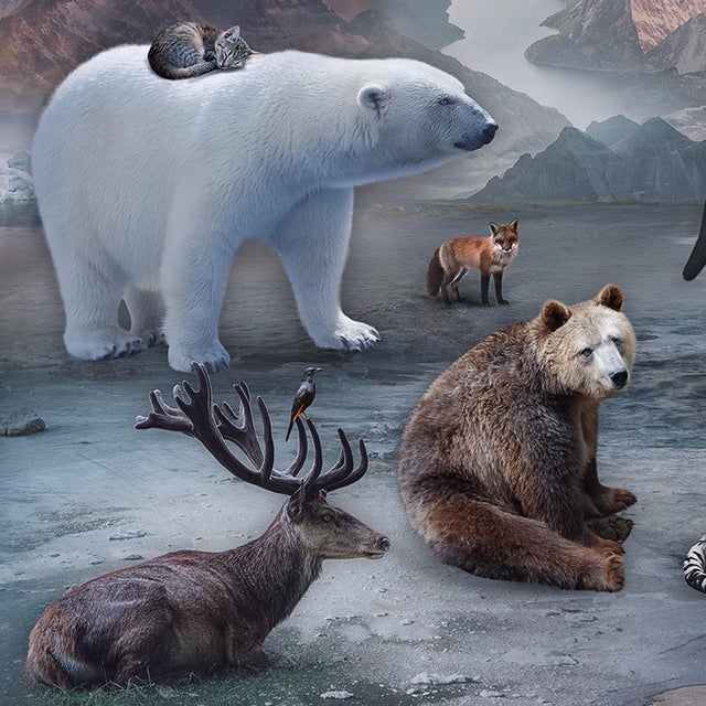 Early 21st Century Queen of the Wild Hearts by Marcin Owczarek | Photography of a surreal scene with animals and a figure For Sale - Image 5 of 5