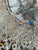 2010s Made Goods Cascading Shell Chandelier For Sale - Image 5 of 11