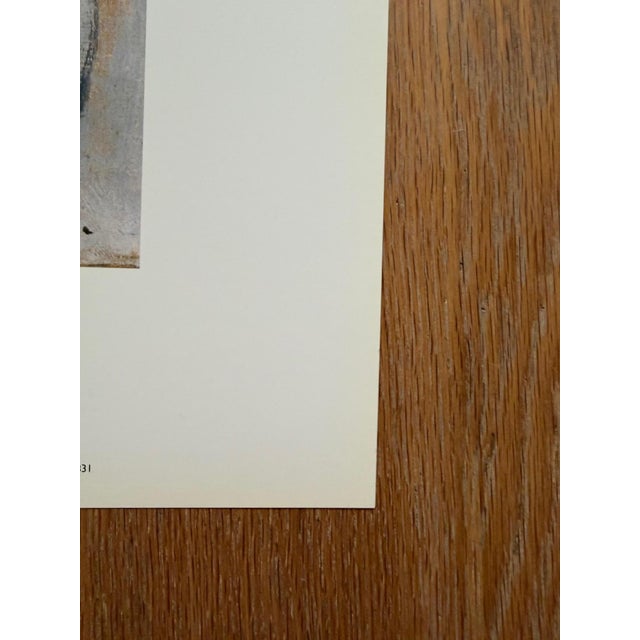 Piet Mondrian, Aronskelken, Print For Sale - Image 4 of 8