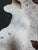 7ft X 8ft Hair on Hide Cow Print Area Rug For Sale In San Francisco - Image 6 of 12