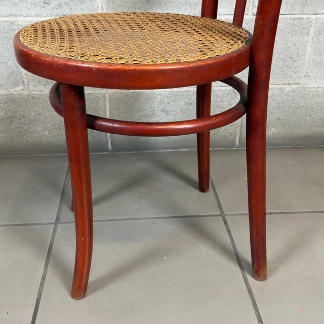 Vintage Chairs in Bent Wood and Vienna Straw, 1960s, Set of 2 For Sale - Image 9 of 13