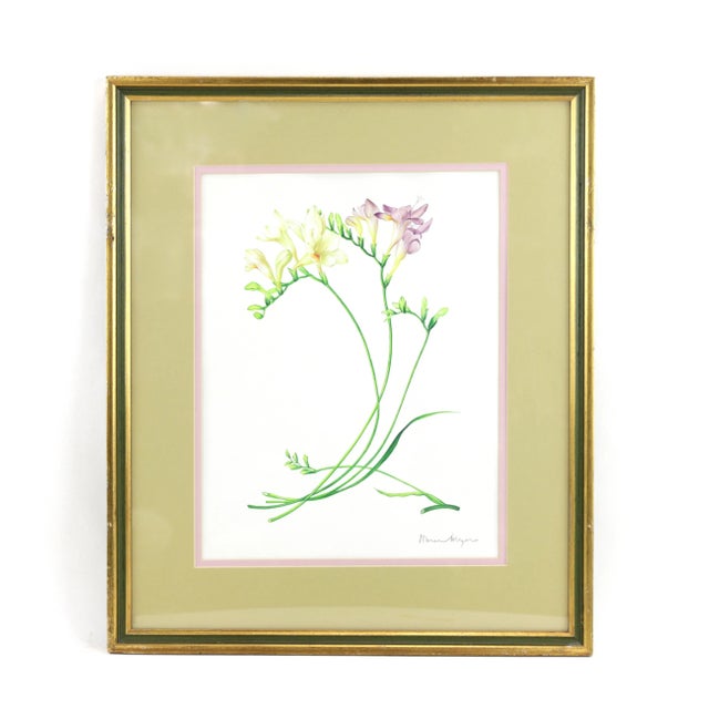 Vintage Hand-Painted Plant Specimen Watercolor Freesia Flower (With Frame). Signed in the Lower Right Corner For Sale - Image 9 of 9