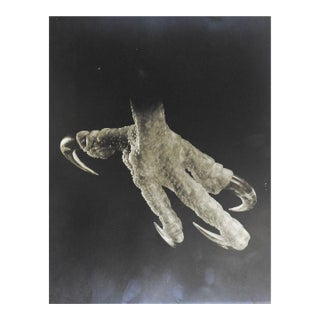 Early 20th Century Joe Clark Eagle Claw Silver Gelatin Photograph For Sale
