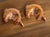 Mid 20th Century Vintage French Country Copper Fish Molds, a Pair For Sale - Image 5 of 5