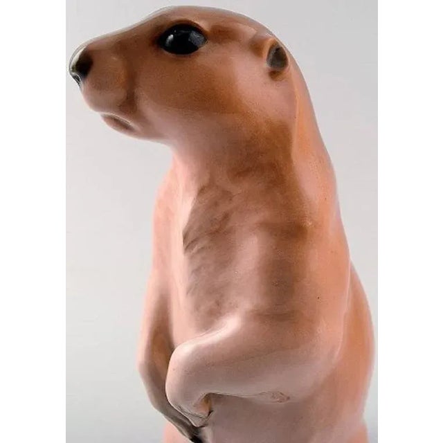 Rare Royal Copenhagen marmot number 1096. Perfect condition, 1st. factory quality. Rarely seen figurine. Measures 21 cm.