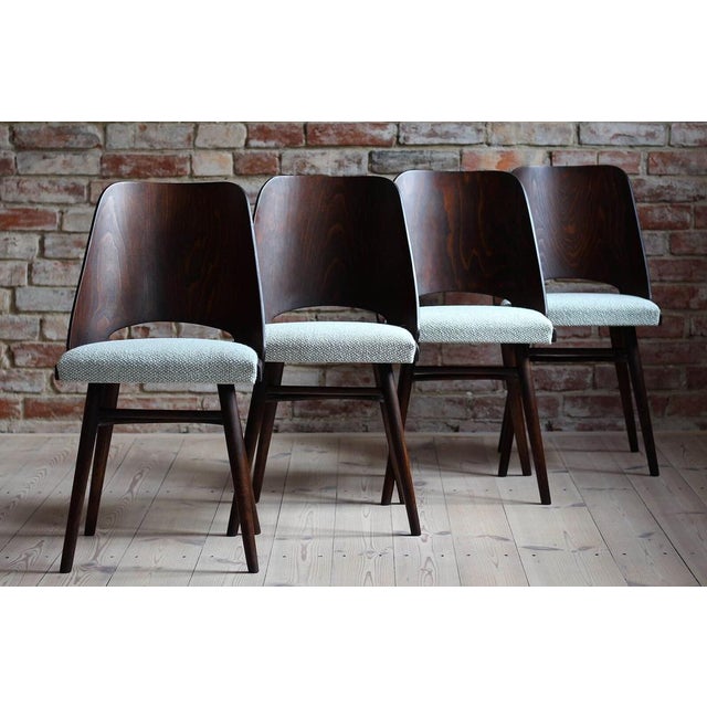 Mid-Century Modern Mid-Century Model 514 Dining Chairs attributed to Radomir Hofman for Ton, 1960s, Set of 4 For Sale - Image 3 of 18
