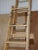 Decorator's Ladder from The Patient Safety Ladder Company For Sale - Image 15 of 18