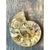 Vintage Fossilized Ammonite Specimen For Sale - Image 9 of 12