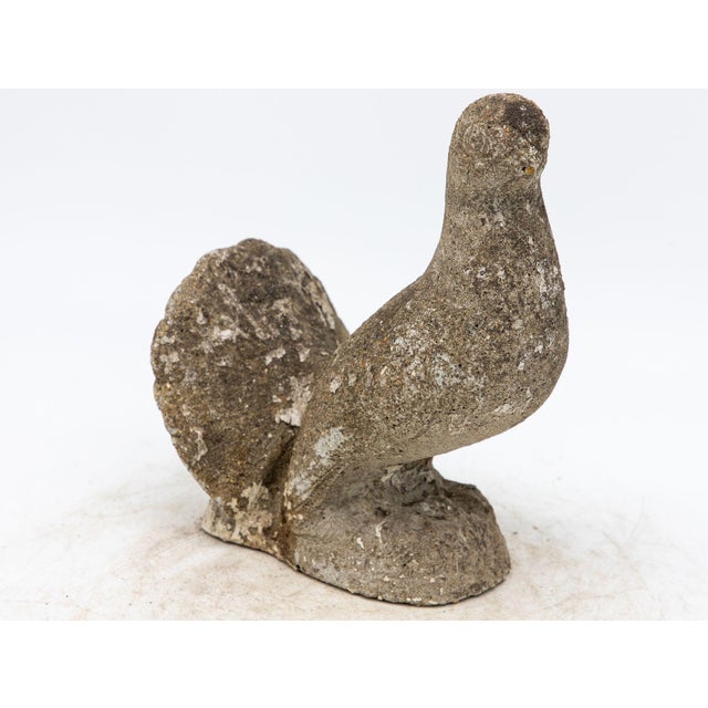 Concrete Dove Garden Ornament, England 20th Century For Sale - Image 4 of 9