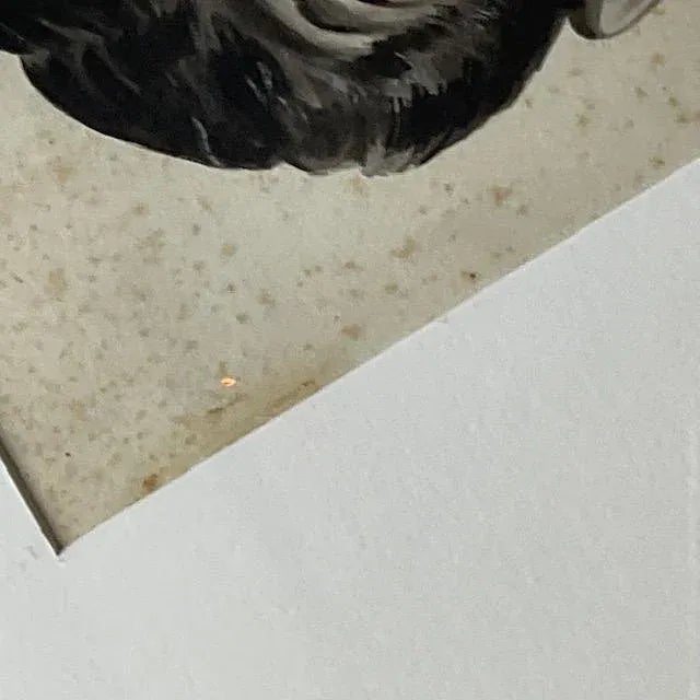 Vintage MCM Sci-Fi Signed Original Ink Sketch of Man‚Äôs Face For Sale In West Palm - Image 6 of 10