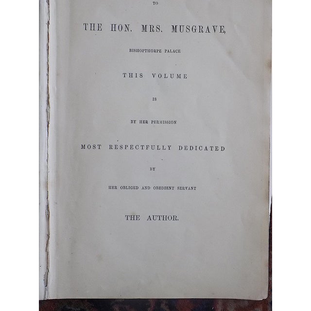 Antique 19th Century Hand Colored Butterfly Lithographs - Set of 10 For Sale - Image 11 of 12