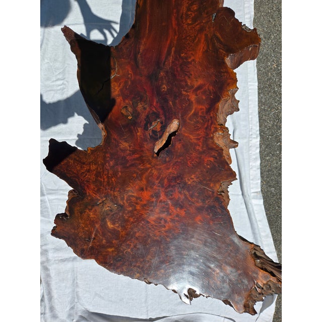Brown Vintage Live Edge Coffee Table or Bench For Sale - Image 8 of 10