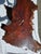 Brown Vintage Live Edge Coffee Table or Bench For Sale - Image 8 of 10