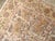 Early 20th Century Galerie Shabab Collection Early 20th Century Indian Lahore Throw Rug For Sale - Image 5 of 6