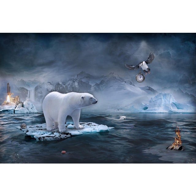 Vanishing Motherland by Marcin Owczarek | Photography - Dye Sublimation on Aluminum of a polar bear on melting ice For Sale