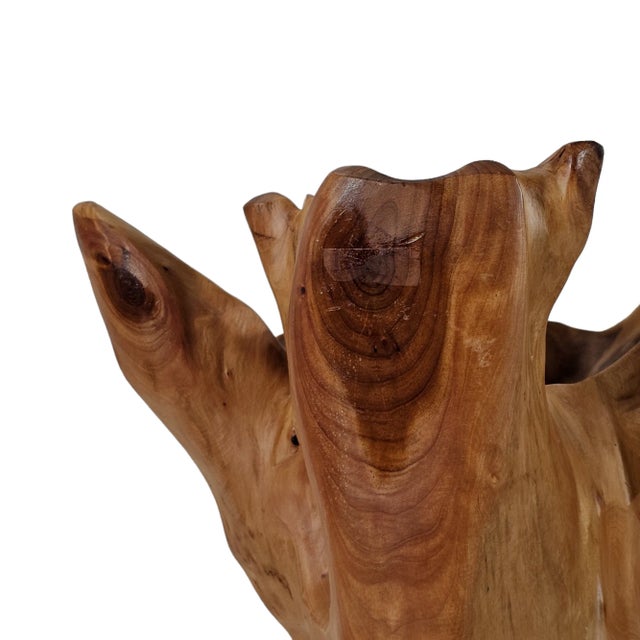 Brown Teak Root Wood Vase Shaped For Sale - Image 8 of 11