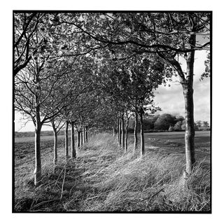 Paul Cooklin, Occold Farm, Suffolk, Edition of 50 For Sale