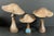 Brown Late 20th Century Set of 3 Folk Art Carved Wood Mushroom Sculpture #M45 For Sale - Image 8 of 10