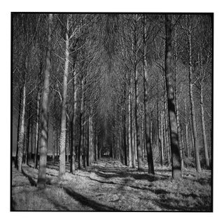 Paul Cooklin, Wickham Skeith VII, Edition of 50 For Sale