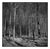 Paul Cooklin, Wickham Skeith VII, Edition of 50 For Sale
