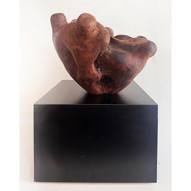 Black Biomorphic Mid-Century Abstract Burlwood Sculpture on a Base For Sale - Image 8 of 10