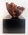 Black Biomorphic Mid-Century Abstract Burlwood Sculpture on a Base For Sale - Image 8 of 10